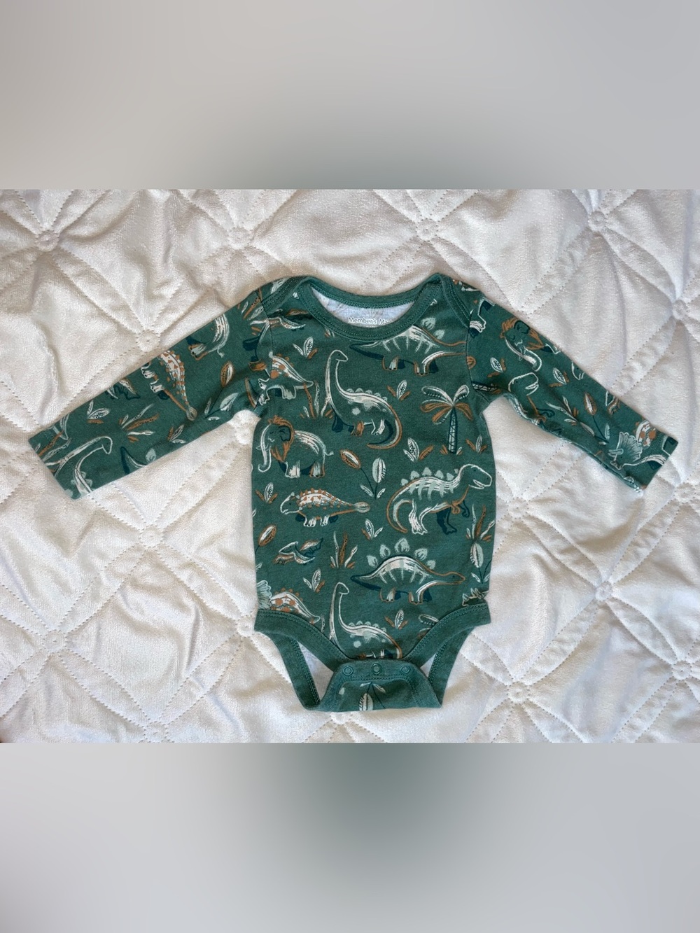 Baby Boy Long-Sleeve One-Piece Bodysuit in Green with Dino Print